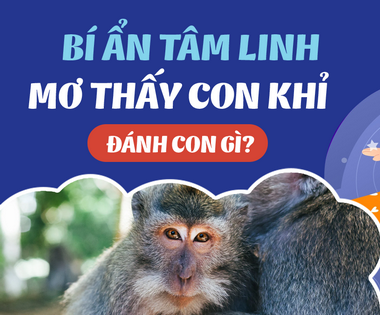 Sổ mơ thấy khỉ